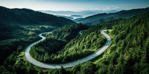 Foto op Aluminium From above, the twisting road weaves through the forest like a ribbon, a man-made path in the embrace of nature © vectorizer88