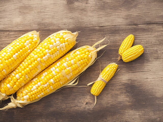 Top view fresh raw corn yellow plant on a dark-light table color green photo