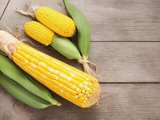 Top view fresh raw corn yellow plant on a dark-light table color green photo