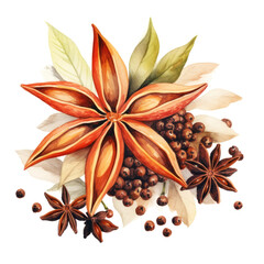 Watercolor star anise painting with green leaves and berries on white background. Winter holidays concept