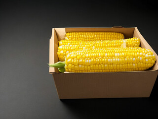 Top view fresh raw corn yellow plant on a dark-light table color green photo