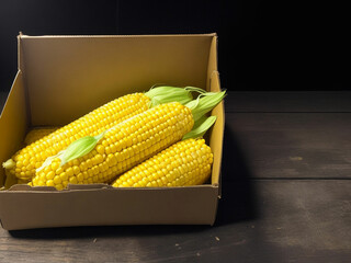Top view fresh raw corn yellow plant on a dark-light table color green photo