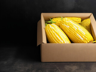 Top view fresh raw corn yellow plant on a dark-light table color green photo