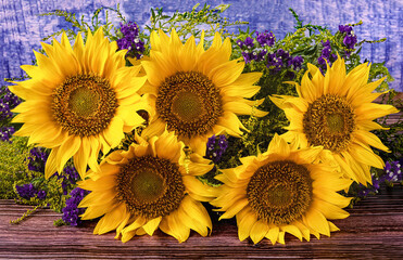 A bouquet of beautiful yellow sunflowers and purple dried flowers close-up on a blue background. Front view