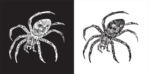 Illustration vector graphics of spider icon