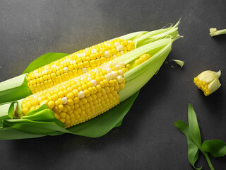 Top view fresh raw corn yellow plant on a dark-light table color green photo