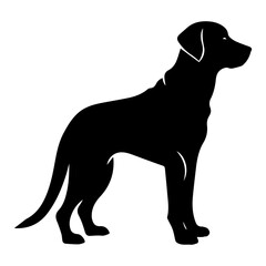 Fototapeta premium labrador retriever Dog Vector Silhouette, Generative AI.