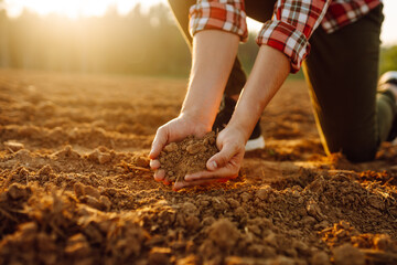 Close-up of a farmer's hands taking black soil from the field. Men's hands move the soil with their hands, checking its quality. Ecology concept.