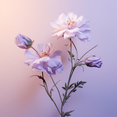 Fondo con detalle de flores de tonos blanco y lila, sobre fondo de tonos neutros