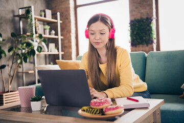 Photo of optimistic disciplined cute girl with straight hairdo dressed yellow pullover writing on laptop listen podcast inside indoors