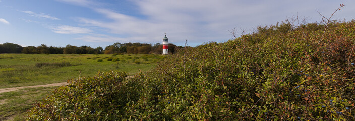 Panoramic view to the Gammel Pøl Fyr lighthouse and blue sloe berries. - obrazy, fototapety, plakaty