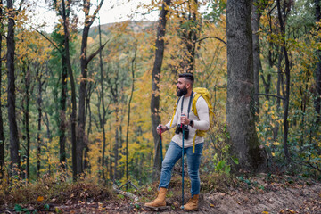 In the midst of an autumn hike, a bearded man, a hiker with a backpack and hiking poles, explores the woodland landscape.