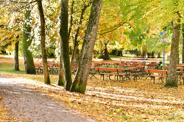 Leere Bier B&auml;nke und Tische in einem Park im Herbst mit Laub auf dem Boden, zu kalt zum Hinsitzen