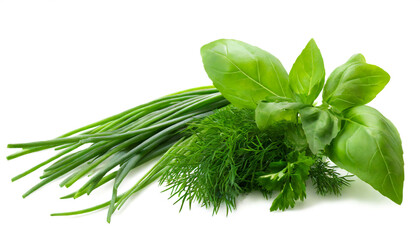 Herbs, basil, chives, parsley, dill isolated on white background