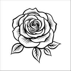 rose illustration doodle style vector outline