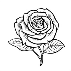 rose illustration doodle style vector outline