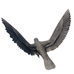 Crows on transparent background