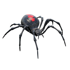 Black Widows on white background