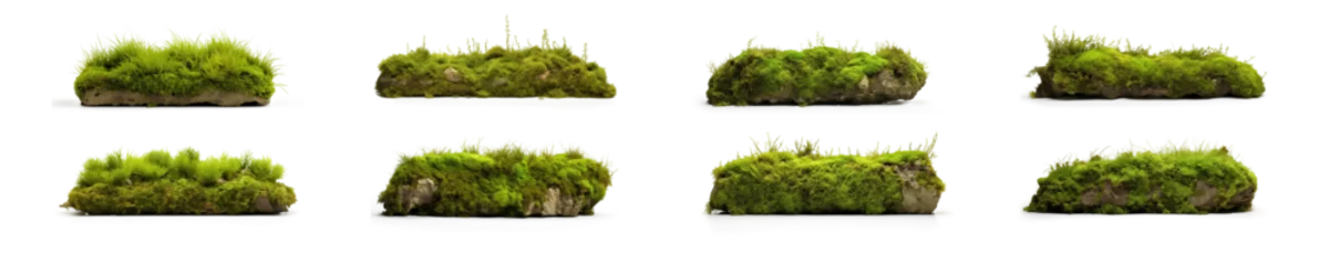 Fotobehang set of realistic nature mossy rocks. stones with moss. isolated on transparent, PNG or white background. collection of overgrown stones for natural garden yard decoration. © Lahiru