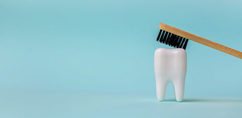 Dental model on blue background, concept image of dental background. Dental hygiene background....