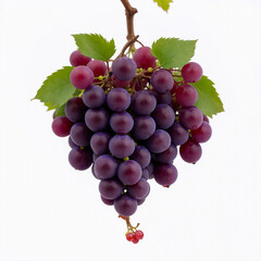 Fototapeta premium A bunch of grapes close-up on a white background. Generative AI