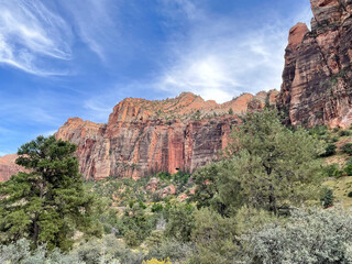 Mountains and trees at Zion National Park