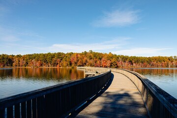 a boardwalk that runs across the water at sunset and is surrounded by trees