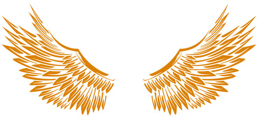 Eagle wings vector design