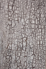 vintage wood background texture with knots and nail holes. painted wooden board showing crackled paint. Old wooden wall with cracked paint, background texture. vintage background peeling paint.