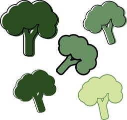 very beautiful and tasty broccoli cabbage on a white background