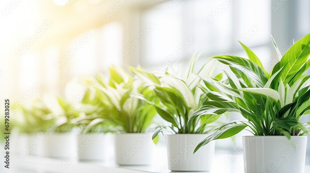 Poster a row of potted plants sitting on top of a window sill in front of a window sill.