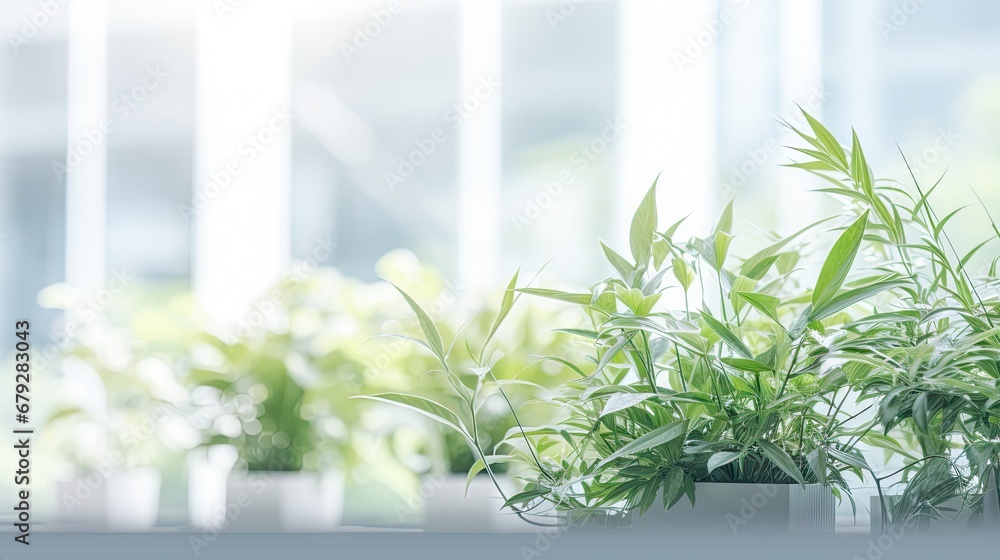 Poster a row of potted plants sitting on top of a window sill in front of a window sill.