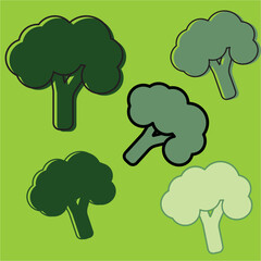 very beautiful and tasty broccoli on a green background