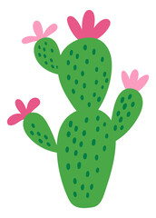 Green succulent. Cute cactus drawing. Desert plant