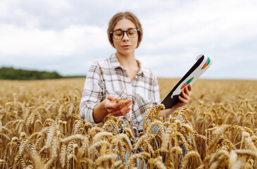 Young female farmer checking crop growth with clipboard in golden wheat field. Smart farming. Agribusiness.