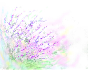 アメジストセージのイラスト