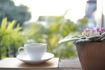 Coffee cup and African Violet flower on a brown pot