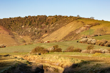Fototapeta na wymiar A rural South Downs landscape near Littlington in East Sussex, on a sunny spring morning