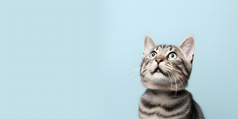 a cat standing on a blue background looking up ai generative