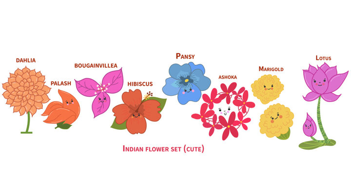 cute Flower icon, cute cartoon avatar,  flowers found in India vector isolated,   Indian flower set