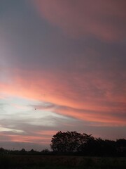 texture of pink clouds on a blue sky background in spring