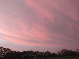 texture of pink clouds on a blue sky background in spring