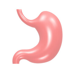 3d stomach organ on white background. Realistic vector Illustration.