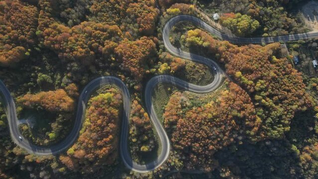 Curvy mountain roads in autumn. Vehicles in motion on winding mountain roads. 
