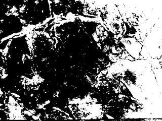 Fototapeta premium Abstract black texture of distressed grunge stain. 