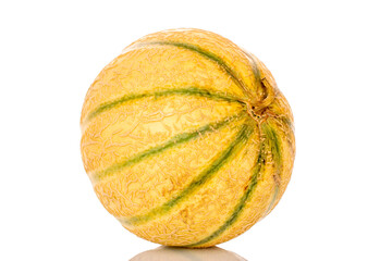 One sweet cantaloupe melon, macro, isolated on white background.