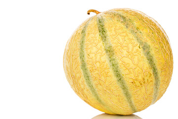 One sweet cantaloupe melon, macro, isolated on white background.