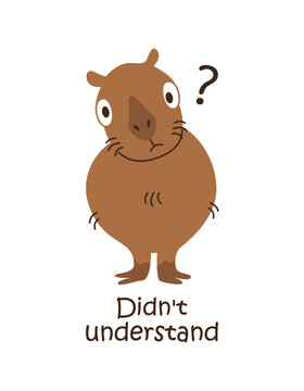 Didn't understand. Capybara with a written phrase, inscription. Vector illustration