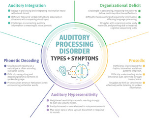 Auditory Processing Disorder Infographic. APD subtypes and symptoms. Neurodivergent learning disorder with difficulty understanding sound and spoken words affecting kids and adults. Vector graphic. - obrazy, fototapety, plakaty