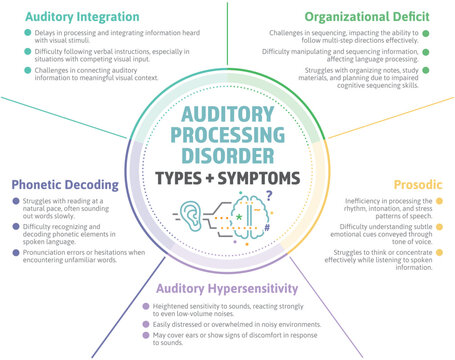 Auditory Processing Disorder Infographic. APD subtypes and symptoms. Neurodivergent learning disorder with difficulty understanding sound and spoken words affecting kids and adults. Vector graphic.